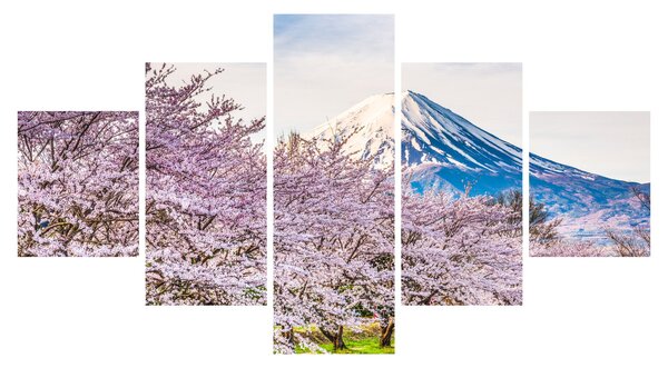 Obraz - Japonia wiosną (125x70 cm)