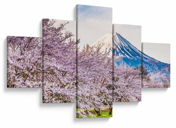 Obraz - Japonia wiosną (125x70 cm)