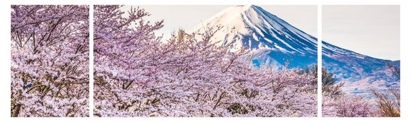 Obraz - Japonia wiosną (170x50 cm)
