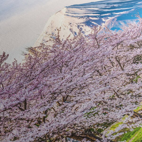 Obraz - Japonia wiosną (70x50 cm)
