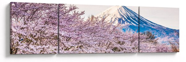 Obraz - Japonia wiosną (170x50 cm)