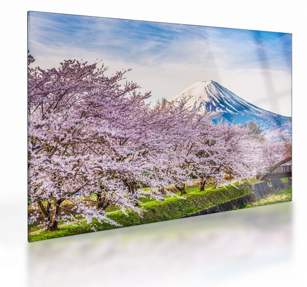 Obraz na szkle - Japonia wiosną (70x50 cm)