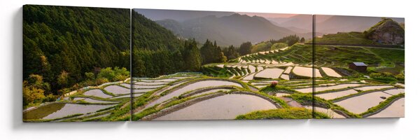Obraz - Tarasy ryżowe (170x50 cm)