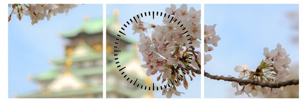 Obraz - Sakura (z zegarem) (90x30 cm)