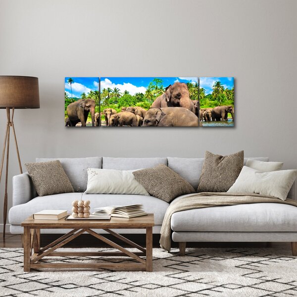 Obraz - Słonie, Sri Lanka (170x50 cm)