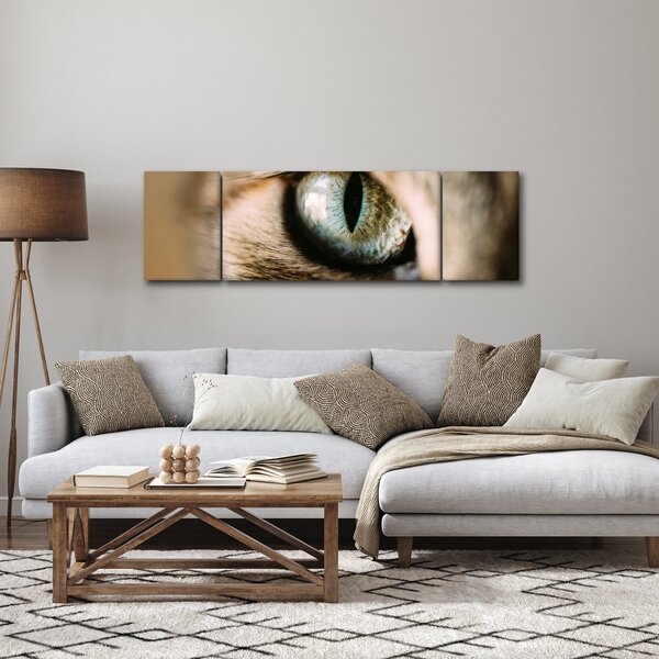 Obraz - Kocie oko (170x50 cm)
