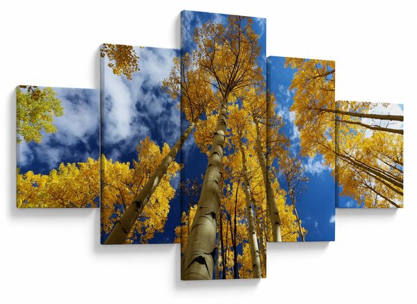 Obraz - Aspen (125x70 cm)