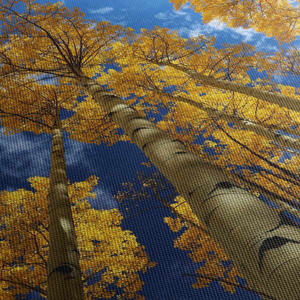 Obraz - Aspen (125x70 cm)