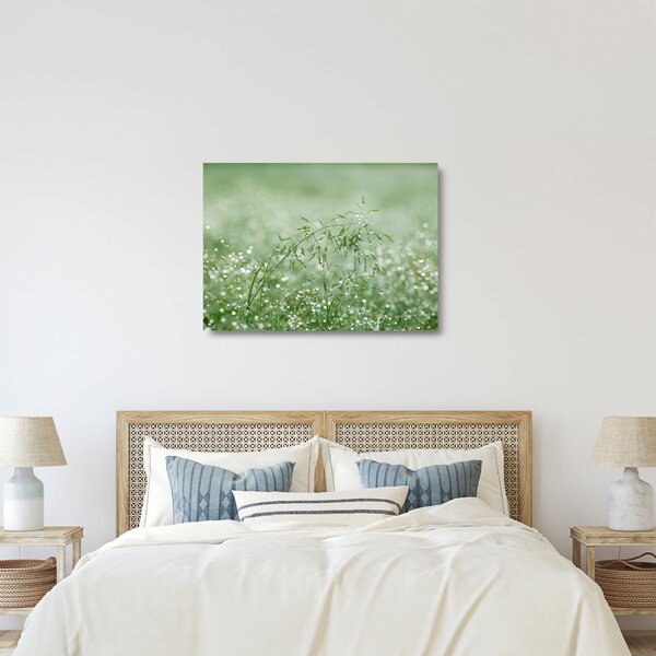 Obraz na szkle - Poranna rosa na źdźbłach trawy (70x50 cm)