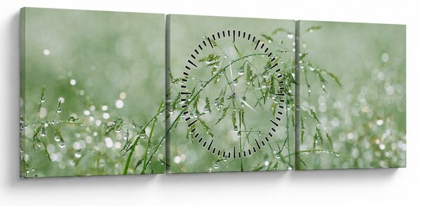 Obraz - Poranna rosa na źdźbłach trawy (z zegarem) (90x30 cm)