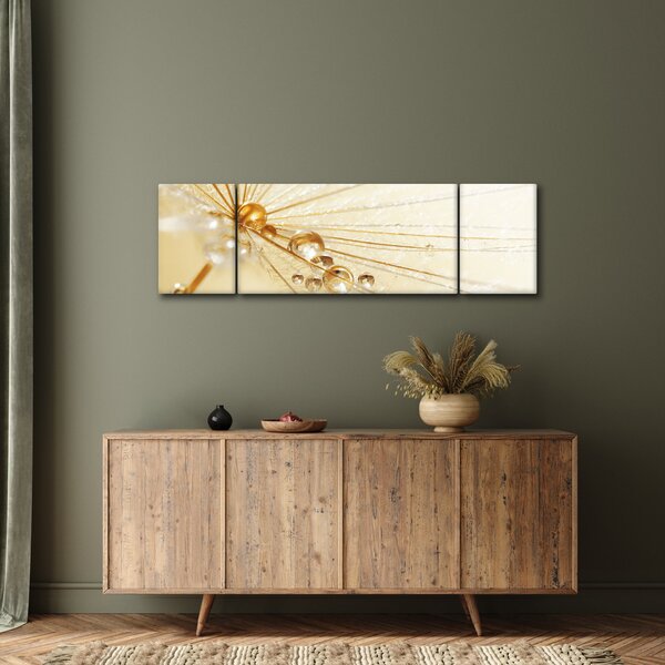 Obraz - Zdjęcie makro mniszka lekarskiego (170x50 cm)