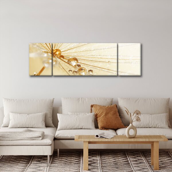 Obraz - Zdjęcie makro mniszka lekarskiego (170x50 cm)