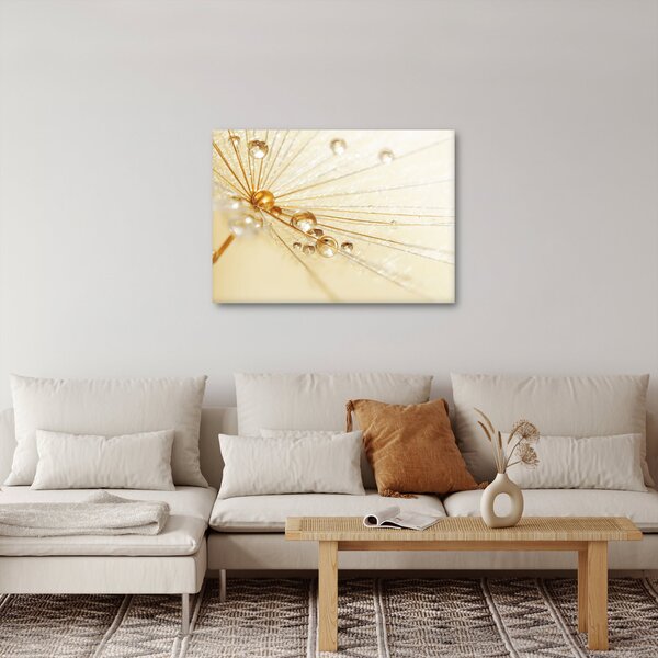 Obraz - Zdjęcie makro mniszka lekarskiego (70x50 cm)