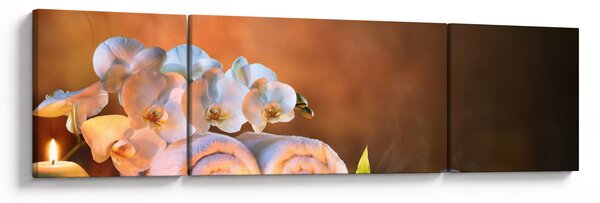 Obraz - Relaks i spa (170x50 cm)