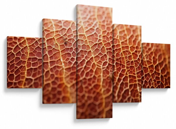Obraz - Szczegóły tekstury (125x70 cm)