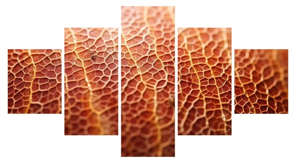 Obraz - Szczegóły tekstury (125x70 cm)
