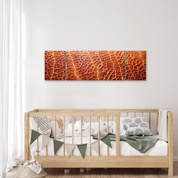 Obraz - Szczegóły tekstury (170x50 cm)