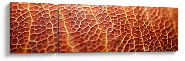Obraz - Szczegóły tekstury (170x50 cm)