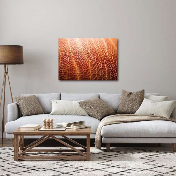 Obraz - Szczegóły tekstury (70x50 cm)