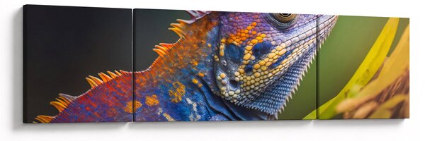 Obraz - Kolorowy legwan (170x50 cm)