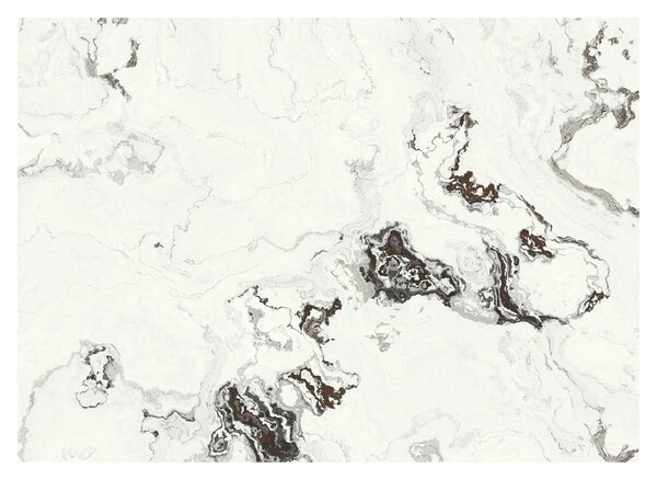 Obraz - Biały marmur (70x50 cm)