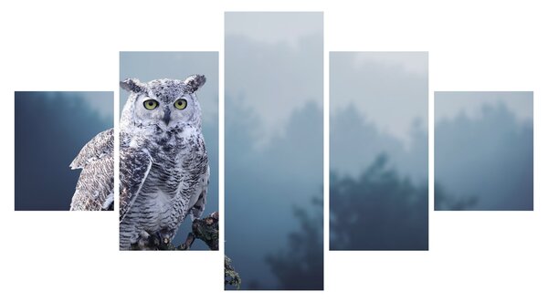 Obraz - Sowa śnieżna (125x70 cm)
