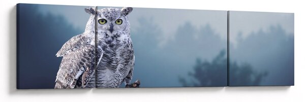 Obraz - Sowa śnieżna (170x50 cm)