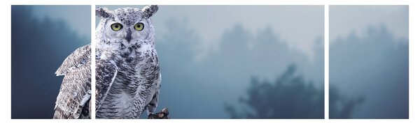 Obraz - Sowa śnieżna (170x50 cm)