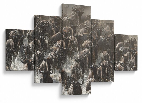 Obraz - Stado antylop gnu (125x70 cm)