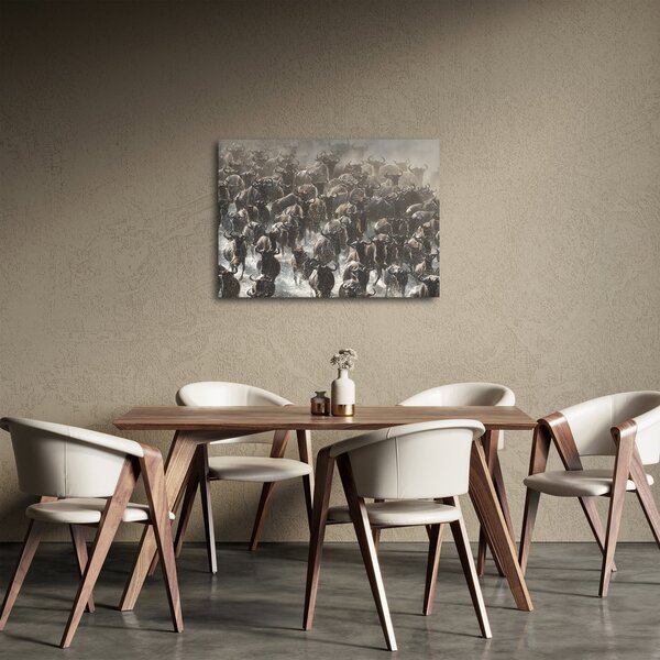 Obraz - Stado antylop gnu (70x50 cm)