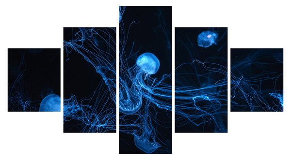 Obraz - Meduza (125x70 cm)