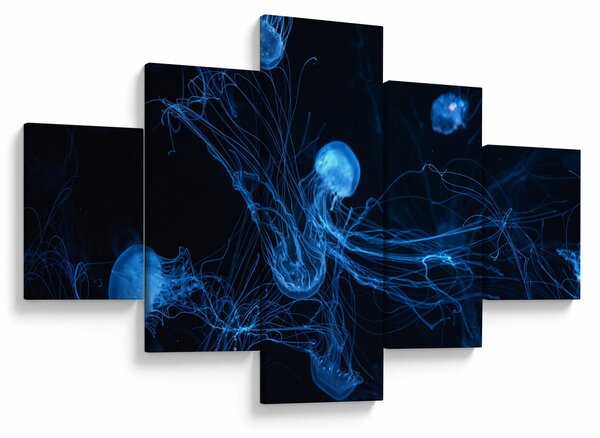 Obraz - Meduza (125x70 cm)