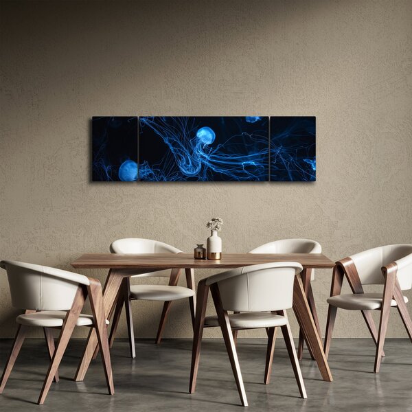 Obraz - Meduza (170x50 cm)