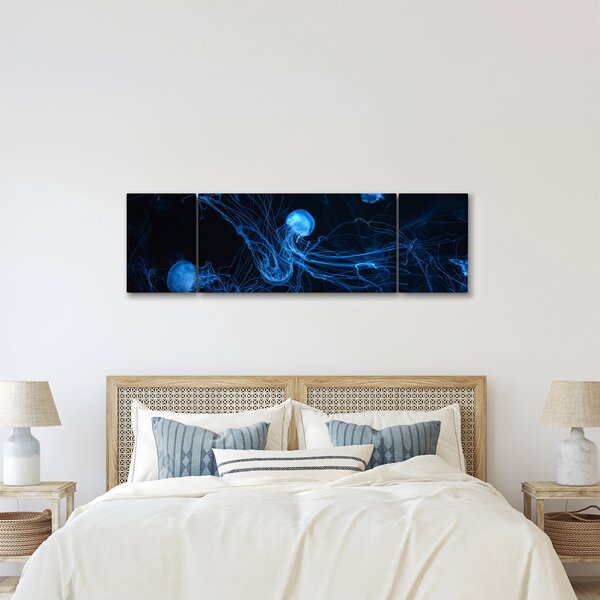 Obraz - Meduza (170x50 cm)