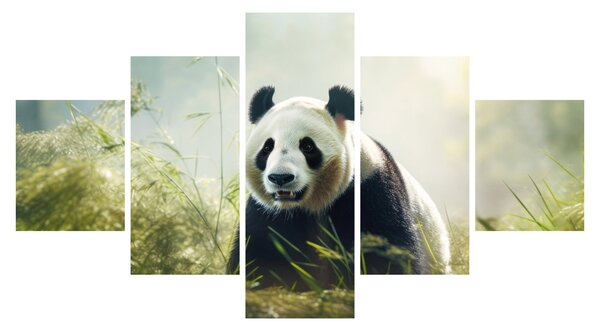 Obraz - Panda (125x70 cm)