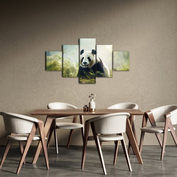 Obraz - Panda (125x70 cm)