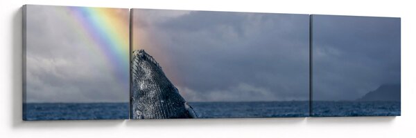 Obraz - Garbus (170x50 cm)