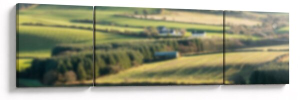 Obraz - Drewniana półka z krajobrazem (170x50 cm)