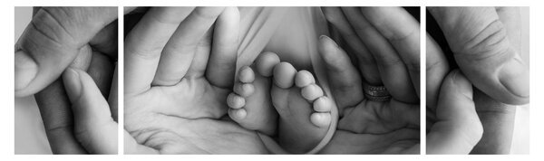 Obraz - Noworodek (170x50 cm)