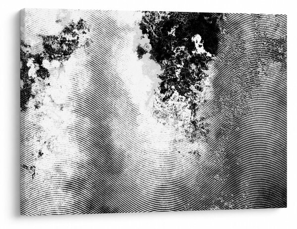 Obraz - Wylęg (70x50 cm)