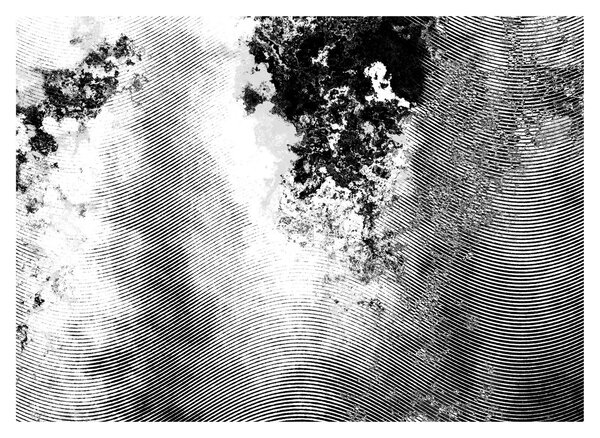 Obraz - Wylęg (70x50 cm)