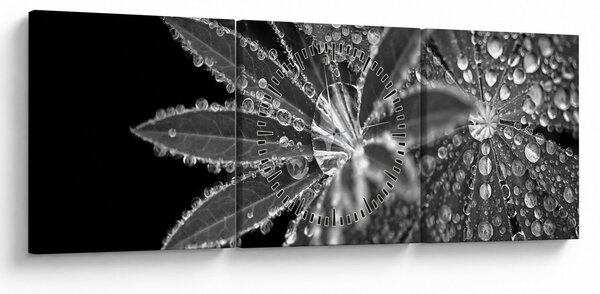 Obraz - Krople (z zegarem) (90x30 cm)