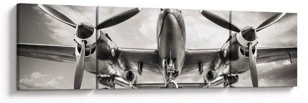 Obraz - Warbird (170x50 cm)