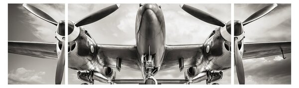 Obraz - Warbird (170x50 cm)