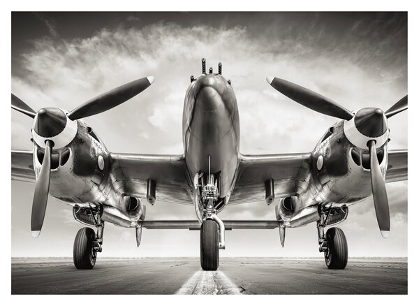 Obraz - Warbird (70x50 cm)