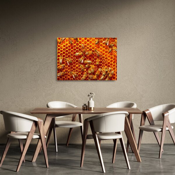 Obraz na szkle - Plaster miodu (70x50 cm)