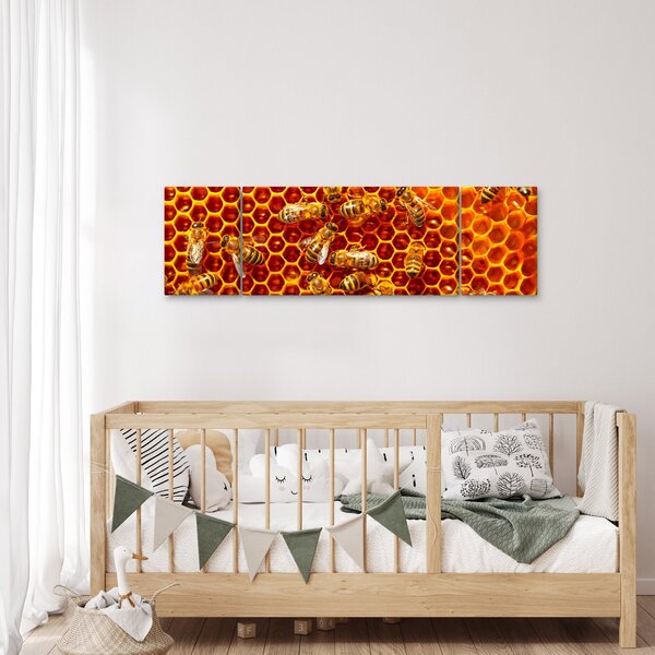 Obraz - Plaster miodu (170x50 cm)