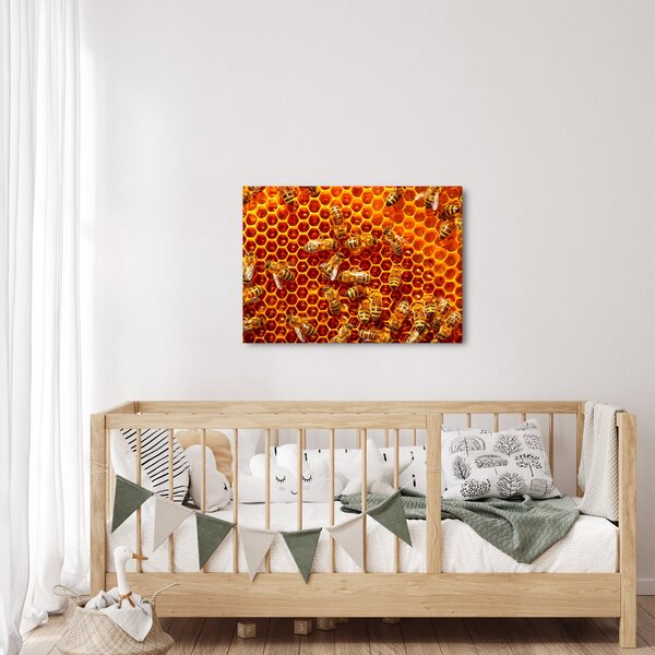 Obraz - Plaster miodu (70x50 cm)