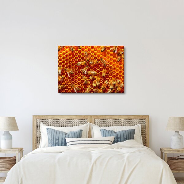 Obraz - Plaster miodu (70x50 cm)