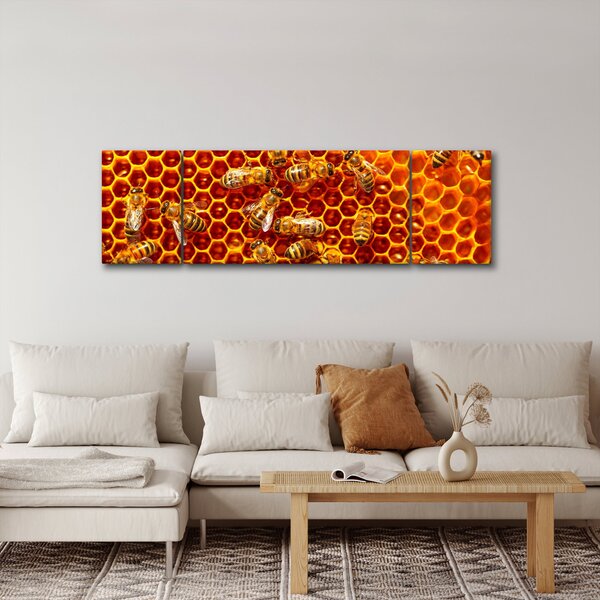 Obraz - Plaster miodu (170x50 cm)